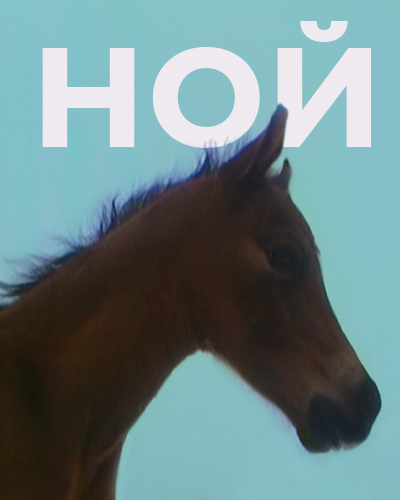 Ной