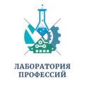 Лаб проф